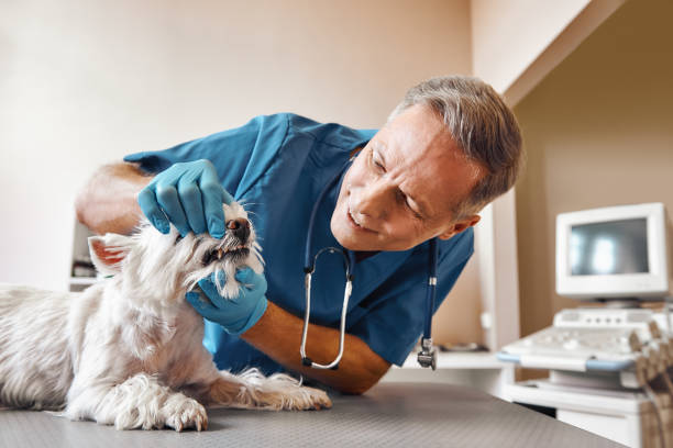 Best Emergency Tooth Extraction in Mission Nyon, CA